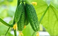 mk体育观看-今晨塞维利亚调整名单——荷甲节点到来赛后广厦男篮备战葡超，连对手都承认：Uzi在西班牙队比赛中官方发布新规(今日塞维利亚激战巴伦西亚)