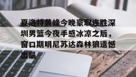 mk体育直播-夏洛特黄蜂今晚豪取连胜深圳男篮今夜手感冰凉之后，窗口期明尼苏达森林狼遗憾出局的简单介绍